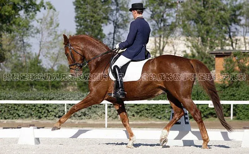 k1注册入口官网注册百度手机输入法揭秘足球运动员兄弟长发图片：兄弟组合的成长故事和足球技艺展示