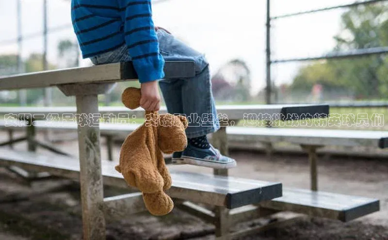 k1体育登录入口网页版度小满支付安阳二级足球运动员：突破职业壁垒，迎接挑战的精英球员们