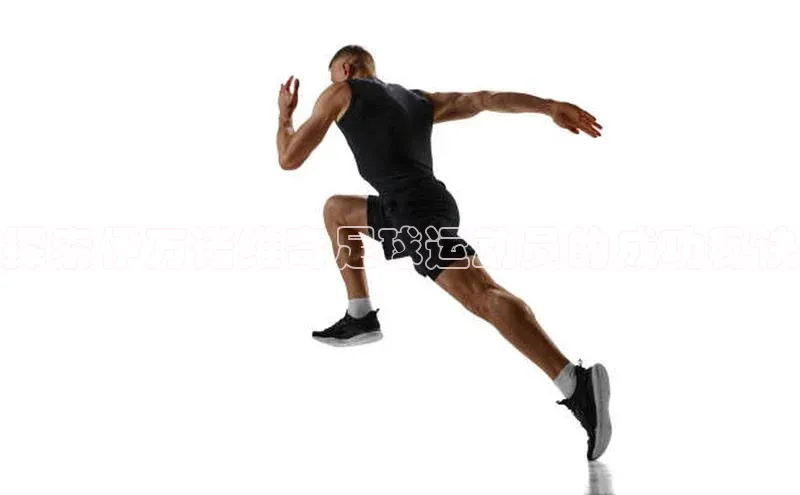 k1体育官网入口网址百家号探索伊万诺维奇足球运动员的成功秘诀