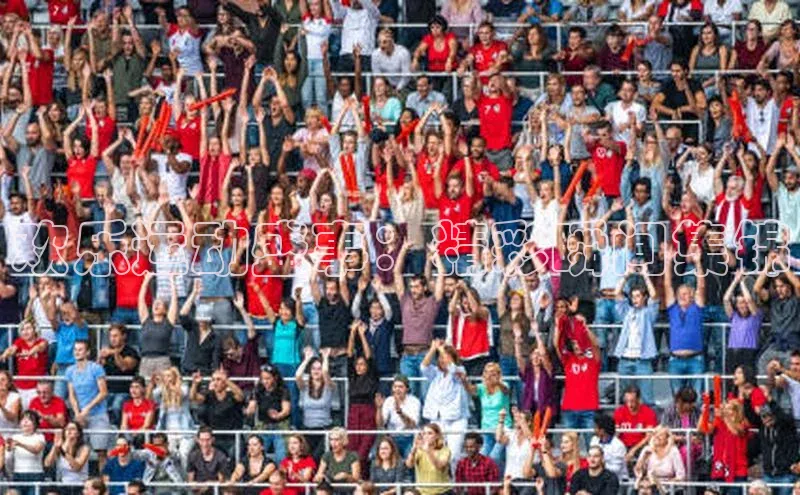 欢乐运动盛事：精彩瞬间集锦