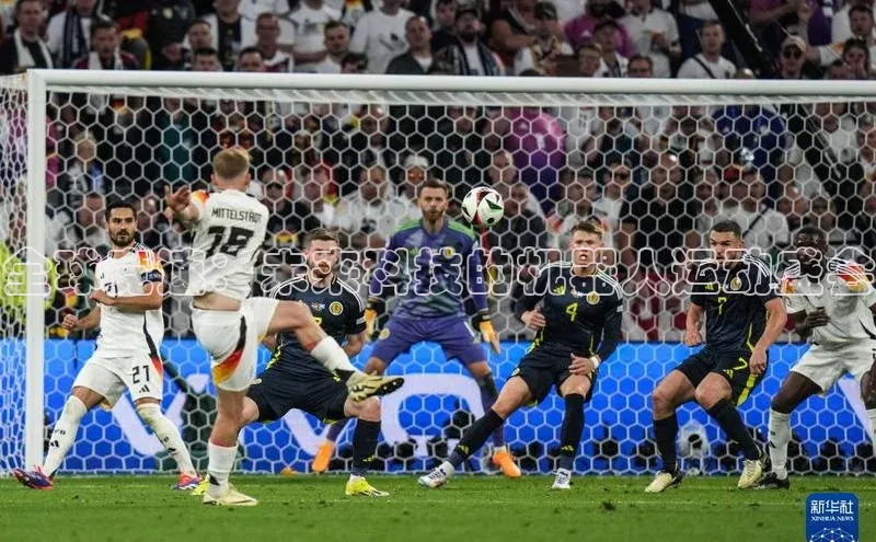 全球竞速：未来科技的机器人运动盛会