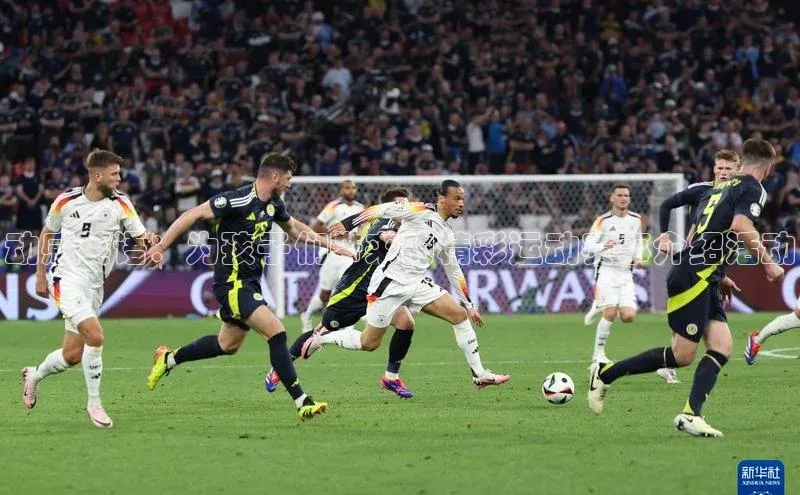 动感英语：为孩子们带来的精彩运动赛事介绍活动