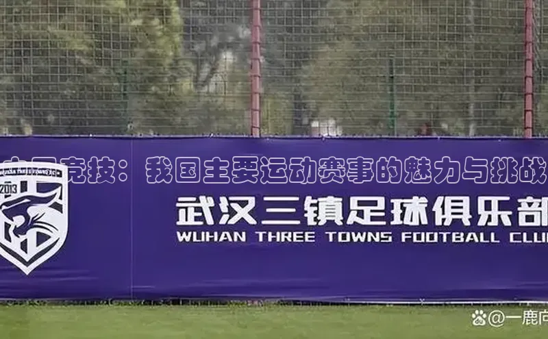 中国竞技：我国主要运动赛事的魅力与挑战