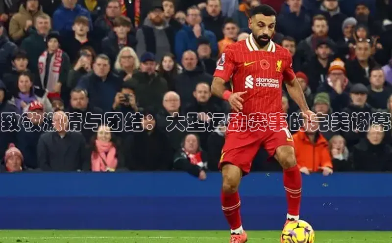 致敬激情与团结：大型运动赛事的完美谢幕