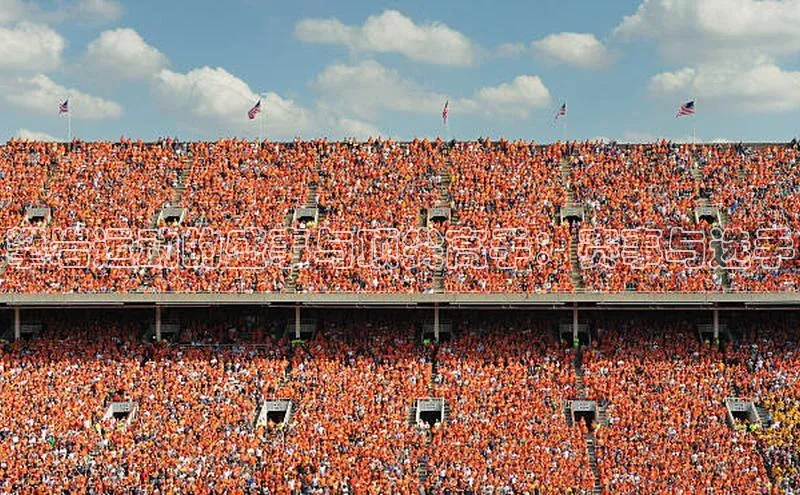 攀岩运动的盛事与顶尖高手：赛事与选手