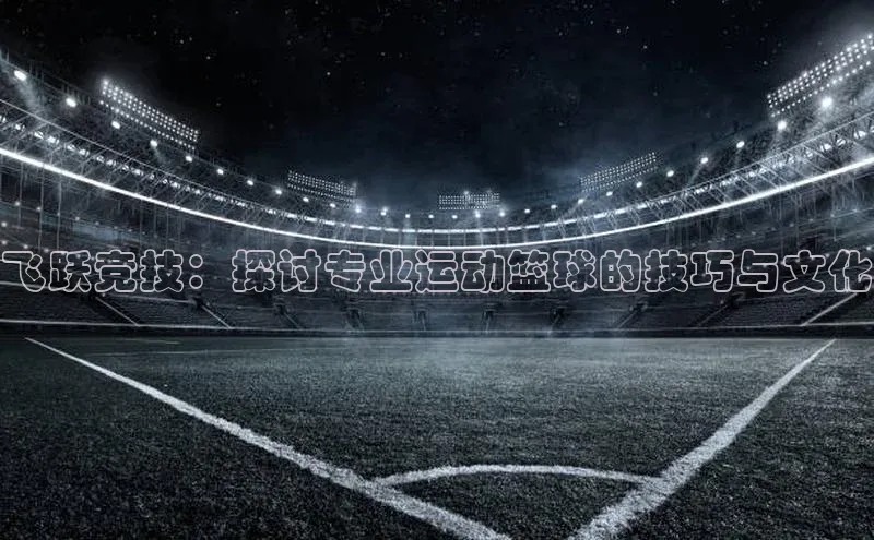 飞跃竞技：探讨专业运动篮球的技巧与文化