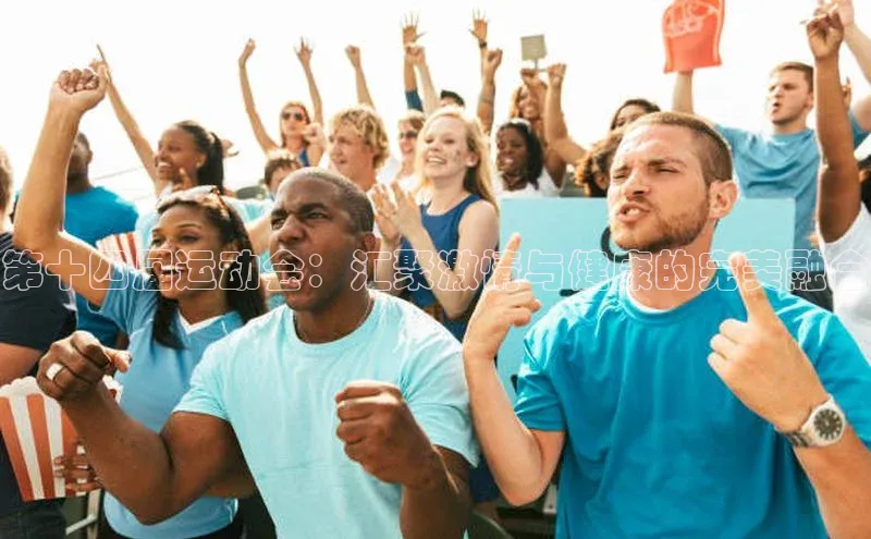 第十四届运动会：汇聚激情与健康的完美融合