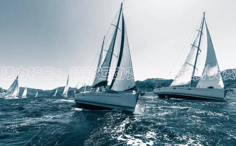 活力校园：精彩运动赛事海报设计大赛