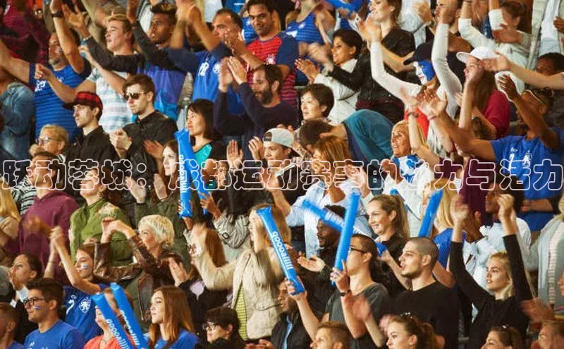 跃动蓉城：成都运动赛事的魅力与活力