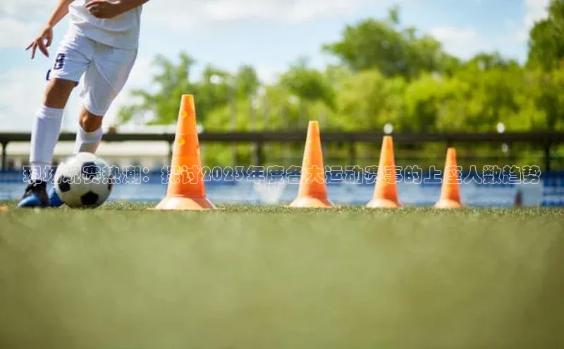 现场观赛热潮：探讨2023年度各大运动赛事的上座人数趋势