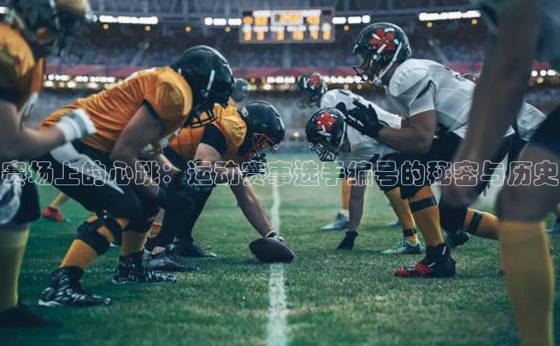 赛场上的心跳：运动赛事选手编号的秘密与历史